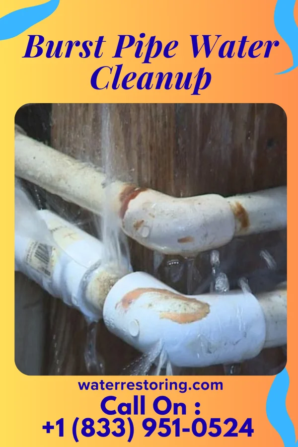 Burst Pipe Water Cleanup in Graham, NC
