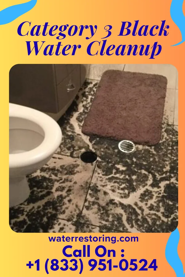 Category 3 Black Water Cleanup in Graham, NC