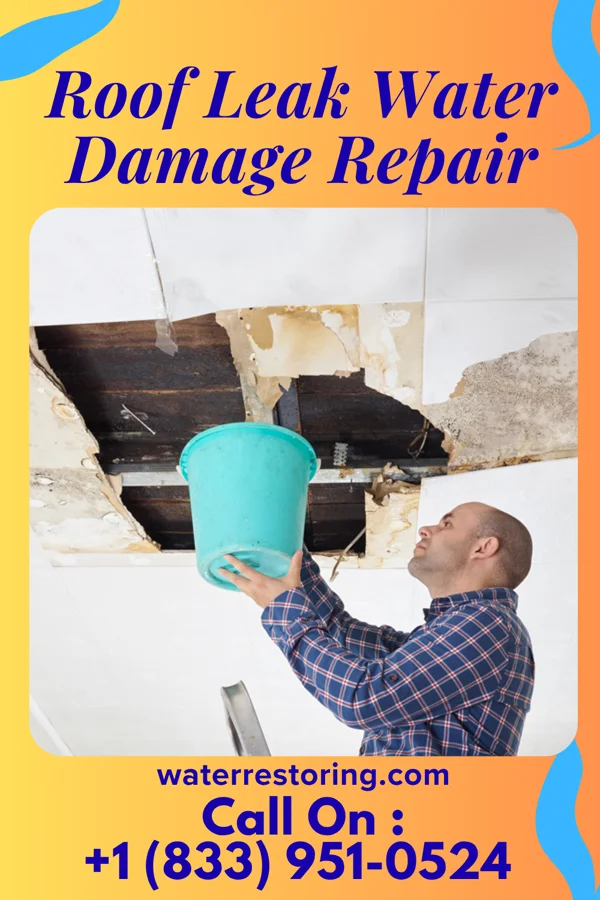 Roof Leak Water Damage Repair in Graham, NC